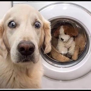 MAKE ME AN OFFER. MANY ITEMS WILL BE DONATED SOON